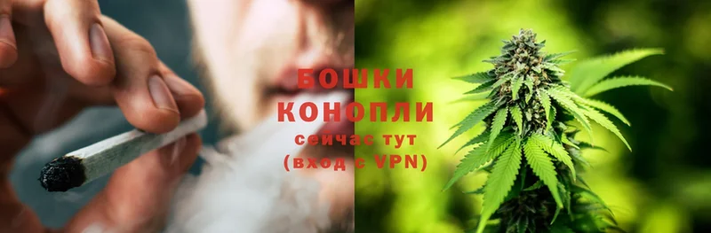 продажа наркотиков  Тюкалинск  МЕГА ссылка  Конопля LSD WEED 